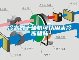 行业新闻冷冻式干燥机可以用来冷冻腊味