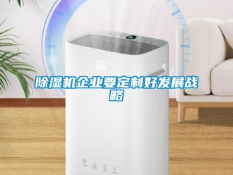 常见问题除湿机企业要定制好发展战略