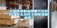 工业除湿机品牌哪个比较好？怎么选择工业除湿机品牌？