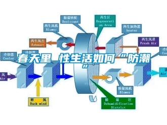 企业新闻春天里 性生活如何“防潮”