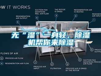 知识百科无“湿”一身轻，除湿机帮你来除湿