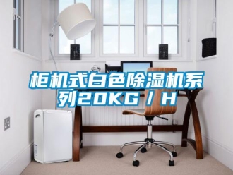 行业新闻柜机式白色除湿机系列20KG／H