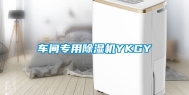 车间专用除湿机YKGY