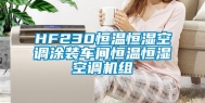 HF230恒温恒湿空调涂装车间恒温恒湿空调机组