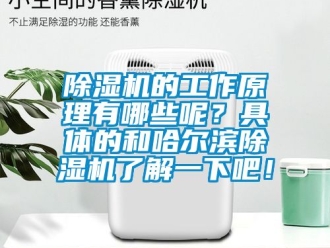 企业新闻除湿机的工作原理有哪些呢？具体的和哈尔滨除湿机了解一下吧！