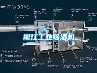 常见问题椒江工业除湿机