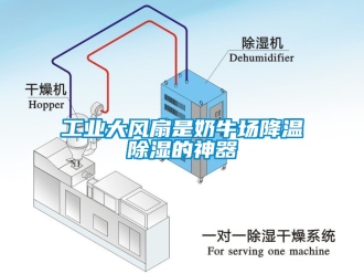 企业新闻工业大风扇是奶牛场降温除湿的神器