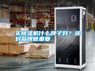 行业新闻买除湿机什么牌子好？选对品牌很重要