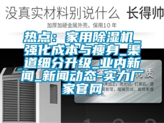 行业新闻热点：家用除湿机_强化成本与瘦身_渠道细分升级_业内新闻_新闻动态-实力厂家官网