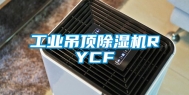 工业吊顶除湿机RYCF