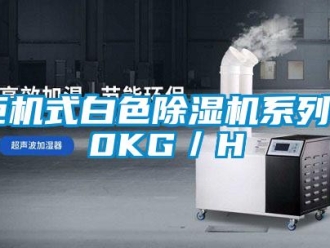 行业新闻柜机式白色除湿机系列40KG／H