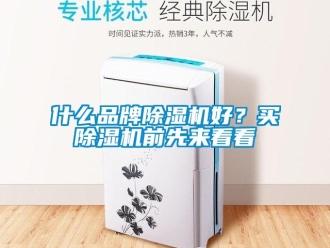 知识百科什么品牌除湿机好？买除湿机前先来看看