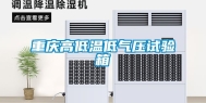 重庆高低温低气压试验箱