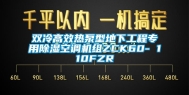 双冷高效热泵型地下工程专用除湿空调机组ZCK60- 110FZR