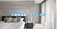 工业除湿机  CFZ-10S