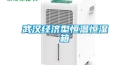 武汉经济型恒温恒湿箱