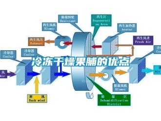 行业新闻冷冻干燥果脯的优点