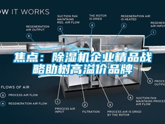 行业新闻焦点：除湿机企业精品战略助树高溢价品牌