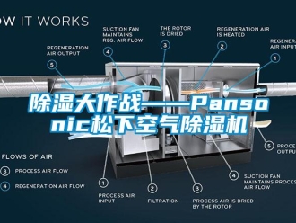 常见问题除湿大作战——Pansonic松下空气除湿机