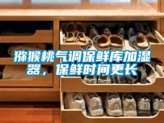 行业新闻猕猴桃气调保鲜库加湿器，保鲜时间更长