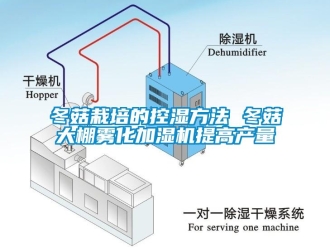 企业新闻冬菇栽培的控湿方法 冬菇大棚雾化加湿机提高产量