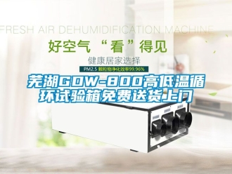 常见问题芜湖GDW-800高低温循环试验箱免费送货上门