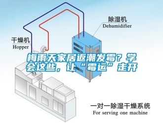 行业新闻梅雨天家居返潮发霉？学会这些，让“霉运”走开