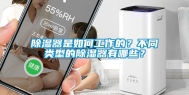 除湿器是如何工作的？不同类型的除湿器有哪些？