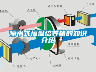 知识百科隔水式恒温培养箱的知识介绍