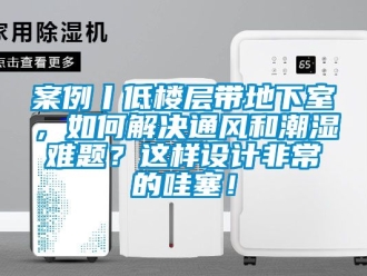 企业新闻案例丨低楼层带地下室，如何解决通风和潮湿难题？这样设计非常的哇塞！