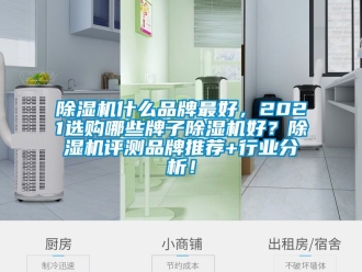 企业新闻除湿机什么品牌最好，2021选购哪些牌子除湿机好？除湿机评测品牌推荐+行业分析！