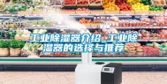 工业除湿器介绍_工业除湿器的选择与推荐