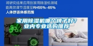 家用除湿机哪个牌子好？业内专业选购推荐