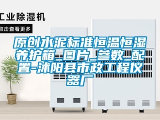 知识百科原创水泥标准恒温恒湿养护箱_图片_参数_配置-沭阳县市政工程仪器厂