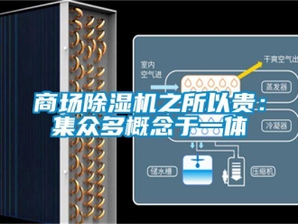 知识百科商场除湿机之所以贵：集众多概念于一体