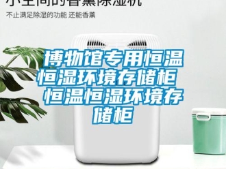 知识百科博物馆专用恒温恒湿环境存储柜 恒温恒湿环境存储柜