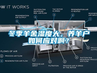 常见问题冬季羊舍湿度大，养羊户如何应对啊？