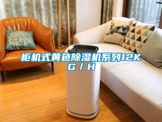 行业新闻柜机式黄色除湿机系列12KG／H