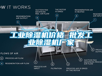 企业新闻工业除湿机价格 批发工业除湿机厂家