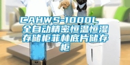 CAHWS-1000L  全自动精密恒温恒湿存储柜菲林底片储存柜