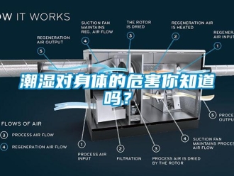 常见问题潮湿对身体的危害你知道吗？