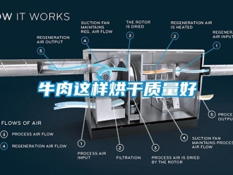 行业新闻牛肉这样烘干质量好