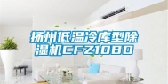 扬州低温冷库型除湿机CFZ10BD