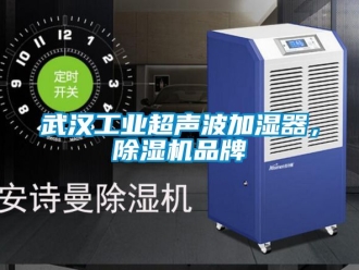 常见问题武汉工业超声波加湿器，除湿机品牌