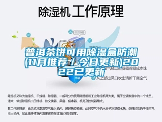 常见问题普洱茶饼可用除湿盒防潮(11月推荐／今日更新)2022已更新