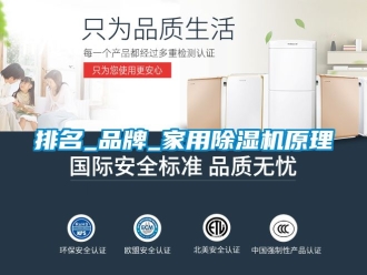 企业新闻排名_品牌_家用除湿机原理