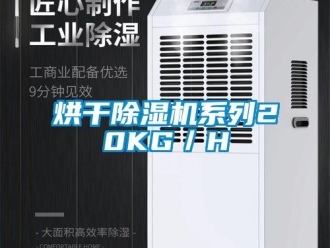 行业新闻烘干除湿机系列20KG／H