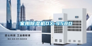 家用除湿机DX-958D