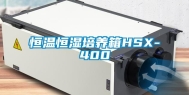 恒温恒湿培养箱HSX-400