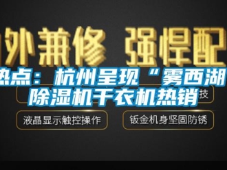 行业新闻热点：杭州呈现“雾西湖”除湿机干衣机热销